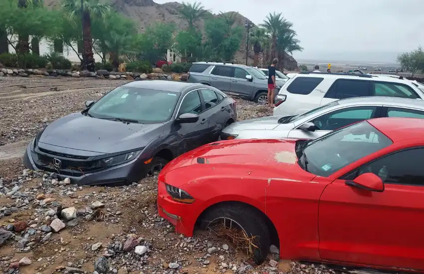Mud & Debris