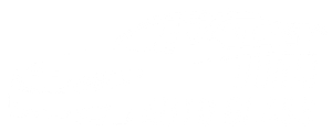 Auto Glass